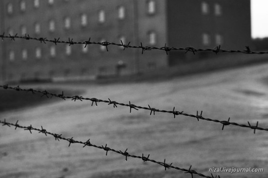 Забор из колючей проволоки в Бухенвальде