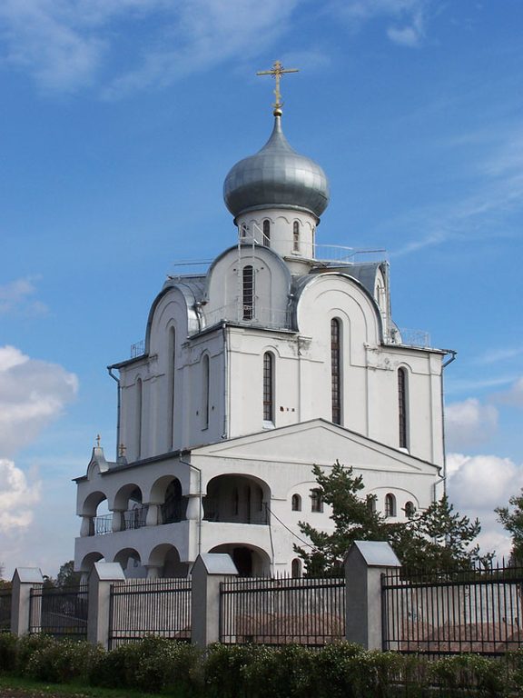 Церковь Благовещения Пресвятой Богородицы  (Пискаревская)