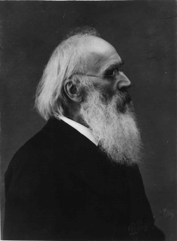 Максимов Сергей Васильевич (1831–1901) 