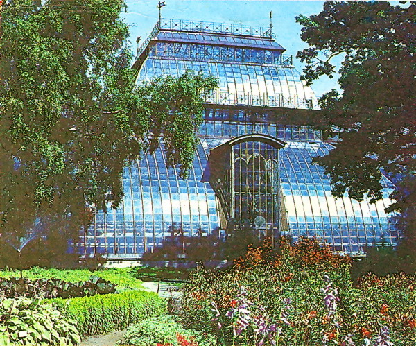 Ботанический сад, оранжерея