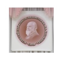 Медаль ежегодного Всероссийского конкурса пианистов им. М.А. Балакирева