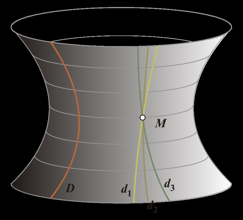 Наглядное представление геометрии Лобачевского: через точку M проведено три прямые, не пересекающие прямую D