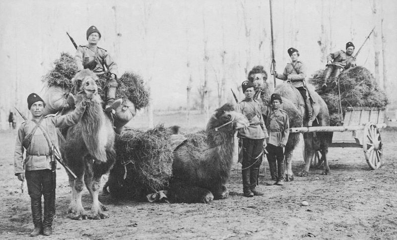 Оренбургские казаки с верблюдами